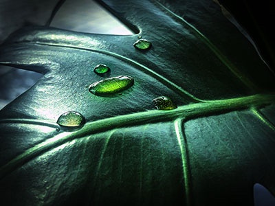 Mergers & Acquisition